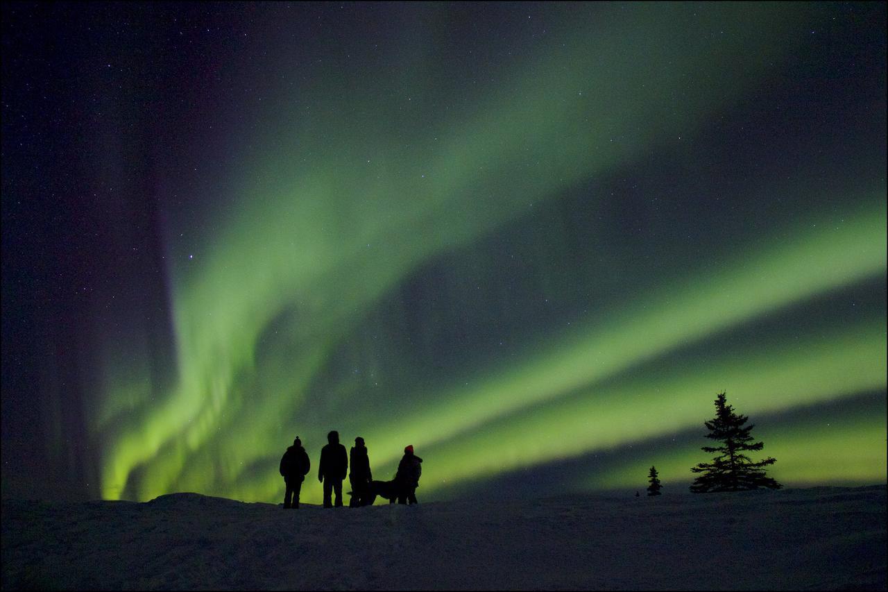 Caribou Lodge Alaska Talkeetna Zewnętrze zdjęcie