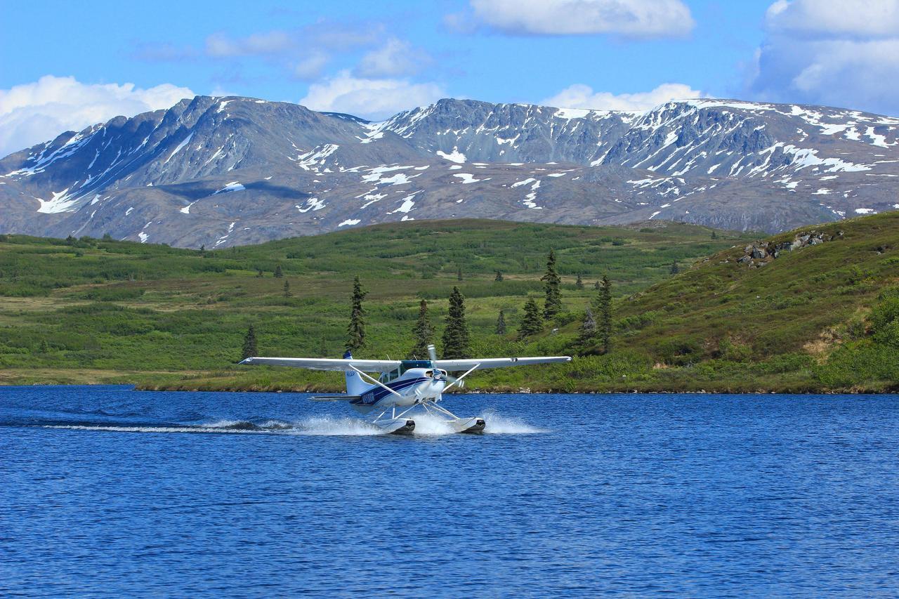 Caribou Lodge Alaska Talkeetna Zewnętrze zdjęcie