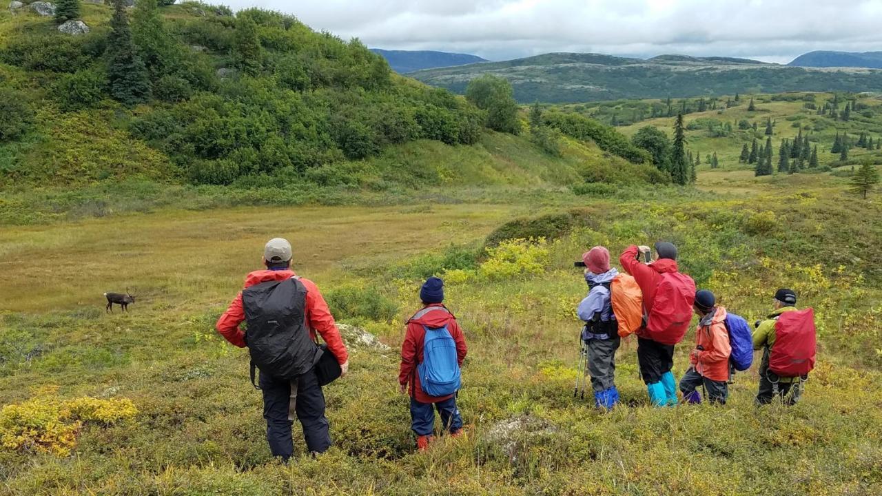 Caribou Lodge Alaska Talkeetna Zewnętrze zdjęcie
