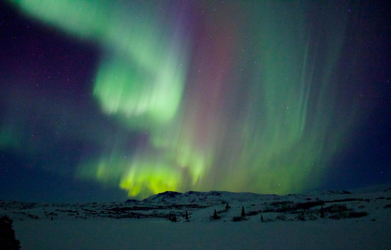 Caribou Lodge Alaska Talkeetna Zewnętrze zdjęcie