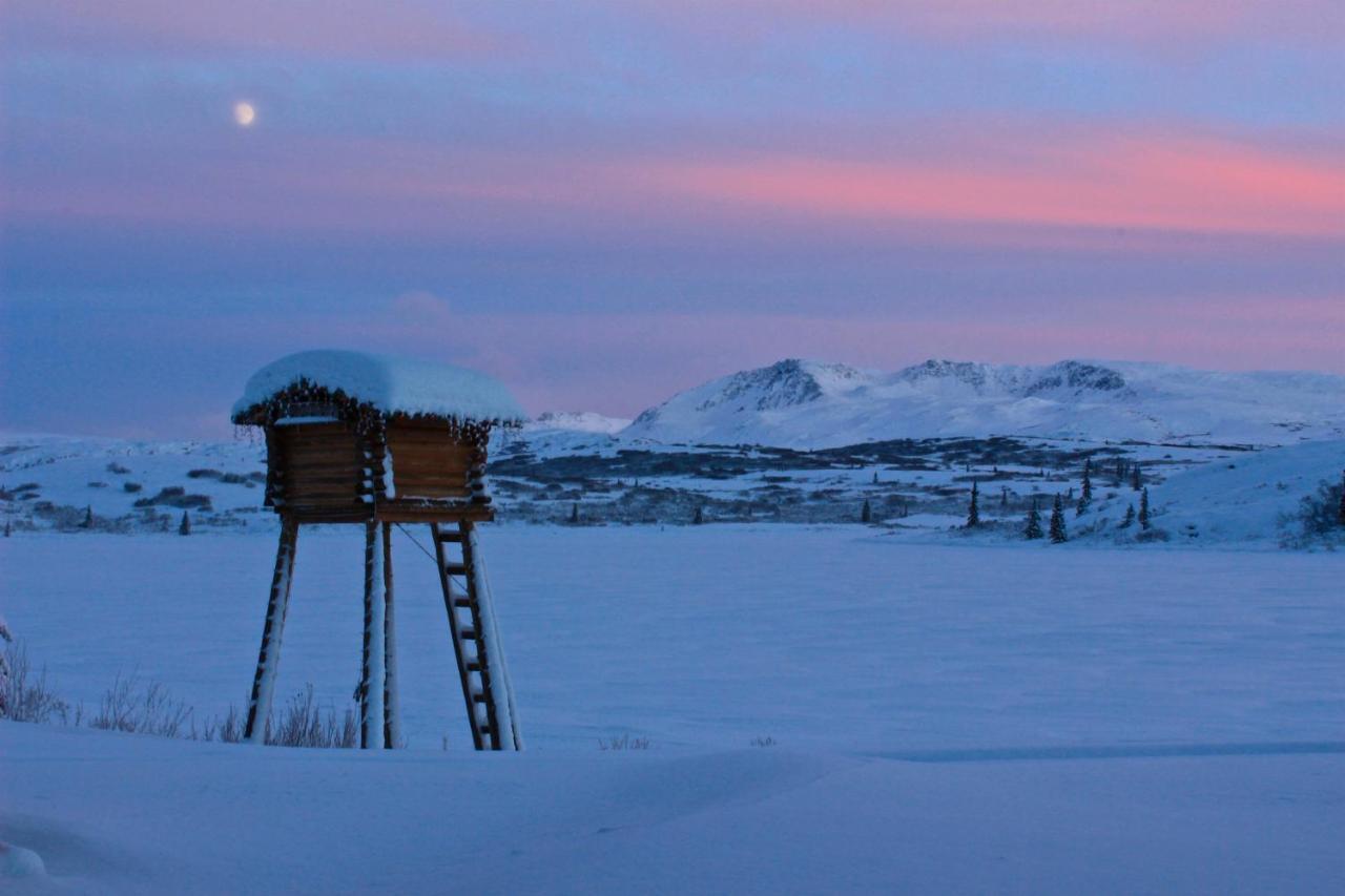Caribou Lodge Alaska Talkeetna Zewnętrze zdjęcie