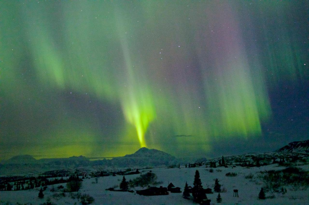 Caribou Lodge Alaska Talkeetna Zewnętrze zdjęcie